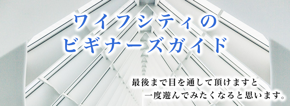ワイフシティのビギナーズガイド