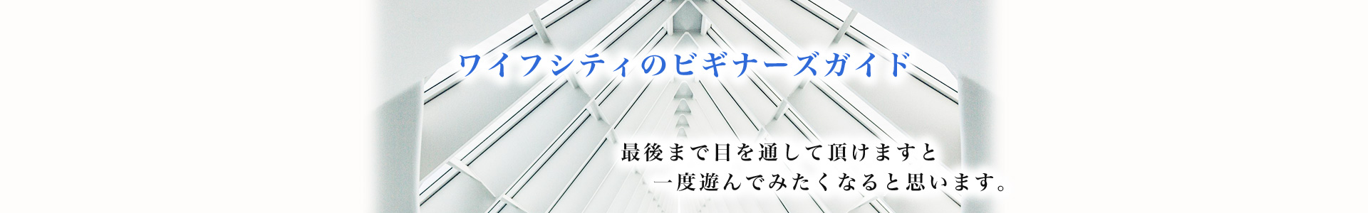 ワイフシティのビギナーズガイド